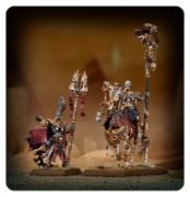 Obrázek TOMB KINGS OF KHEMRI: LICHE PRIESTS