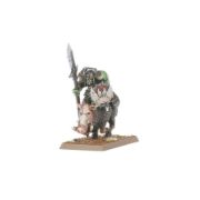 Obrázek ORC & GOBLIN TRIBES: ORC BOAR BOYZ MOB