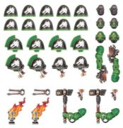 Obrázek SALAMANDERS PRIMARIS UPGRADES & TRANSFRS