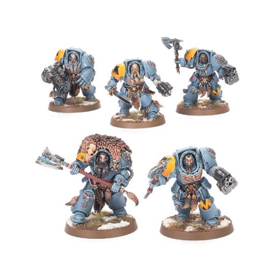 Obrázek SPACE WOLVES: WOLF GUARD TERMINATORS