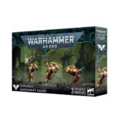 Obrázek BLOOD ANGELS: SANGUINARY GUARD