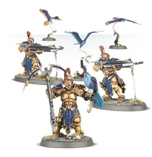 Obrázek STORMCAST ETERNALS: VANGUARD-RAPTORS