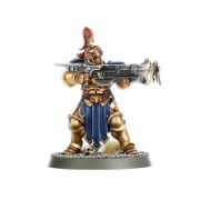 Obrázek STORMCAST ETERNALS: VANGUARD-RAPTORS