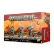 Obrázek SYLVANETH: KURNOTH HUNTERS