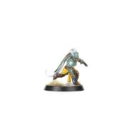 Obrázek BLOOD BOWL: AMAZON TEAM
