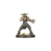 Obrázek BLOOD BOWL: NORSE TEAM
