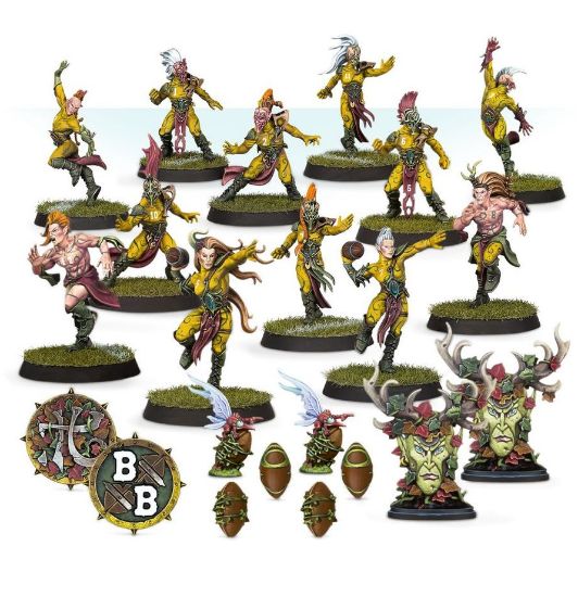 Obrázek BLOOD BOWL: WOOD ELF TEAM