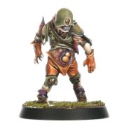Obrázek BLOOD BOWL: NURGLE TEAM