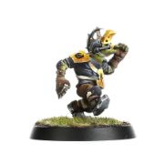 Obrázek BLOOD BOWL: GOBLIN TEAM