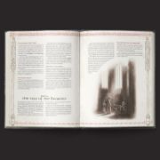 Obrázek The One Ring RPG: Hands of the White Wizard