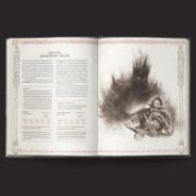 Obrázek The One Ring RPG: Hands of the White Wizard