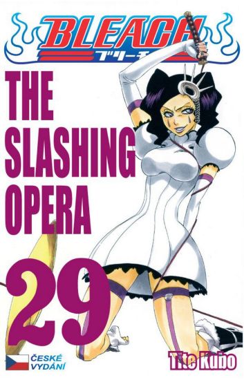 Bleach 29 - The Slashing Opera