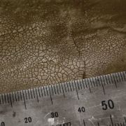 Obrázek AK Interactive: Effects - Dark & Dry Crackle