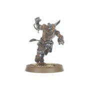 Fellgor Beastmen